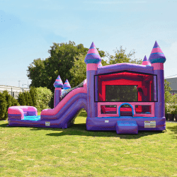 JCX CFD32PAP 04 1710040741 Princess Castle Dual Lane Combo Wet/Dry