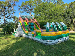 IMG 8077 1745026447 20' Dino island Double Lane (Deep XL Pool)